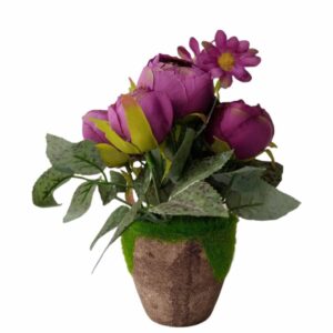 Alternative view of FLOWER IN A SMALL WOODEN POT( 5 ROSES) Short