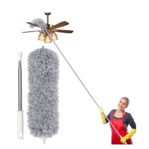Alternative view of LONG DUSTER