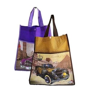 Alternative view of OUTING BAG